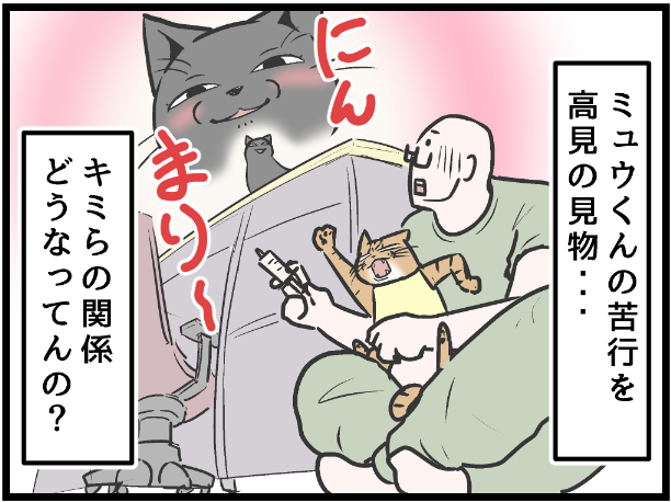 ミュウくんに薬をやっているとレナちゃんが・・・w ↑のURLからブログ版に移動できます 現在いまトピ版との同時更新の都合で時系列がズレてます。リンク先の 「ライブドアブログ4月13日ミュウくん、なんか体調おかしい?の巻」から読んで頂くことをお勧め致します