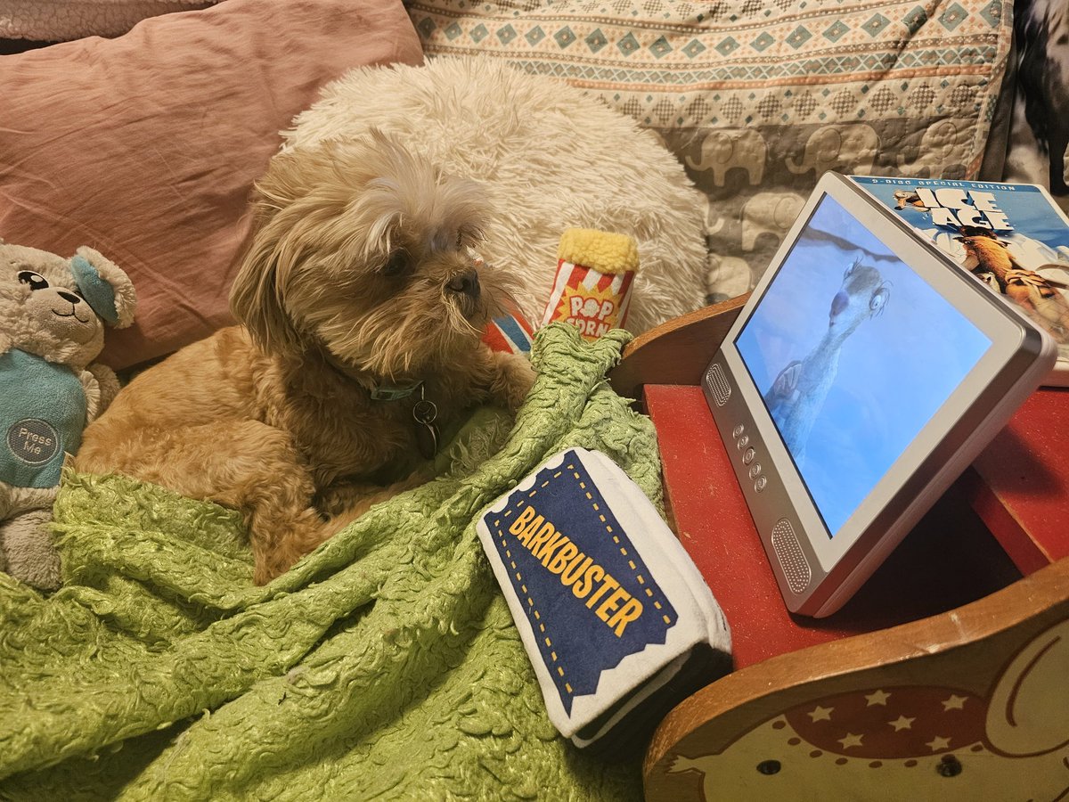 DustyAJohnson's tweet image. Movie night with the pup! 🍿🎞📺🐾
#Peaches #IceAge #SpoiledDogLife