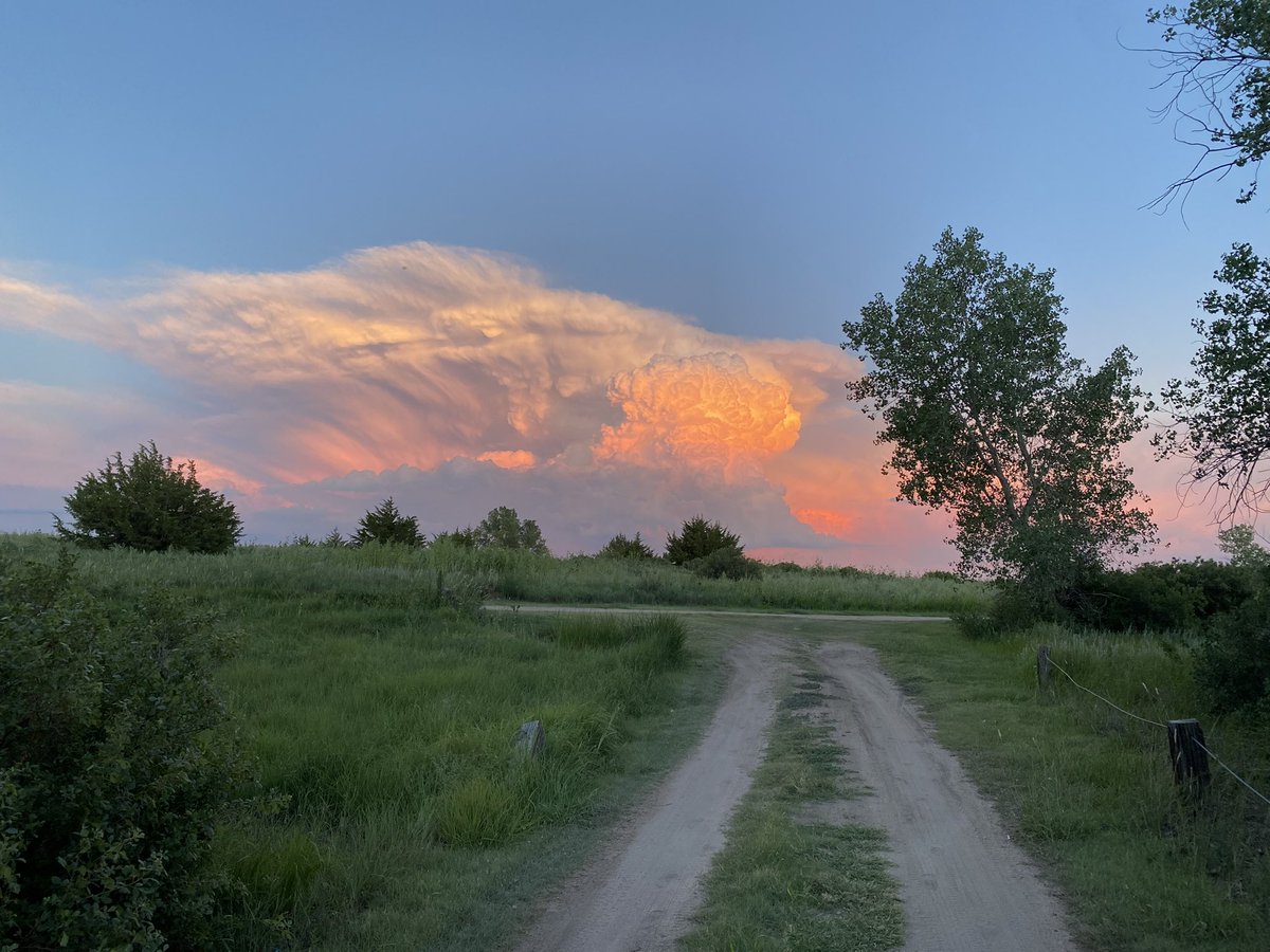 Emerson Lynch tweet media