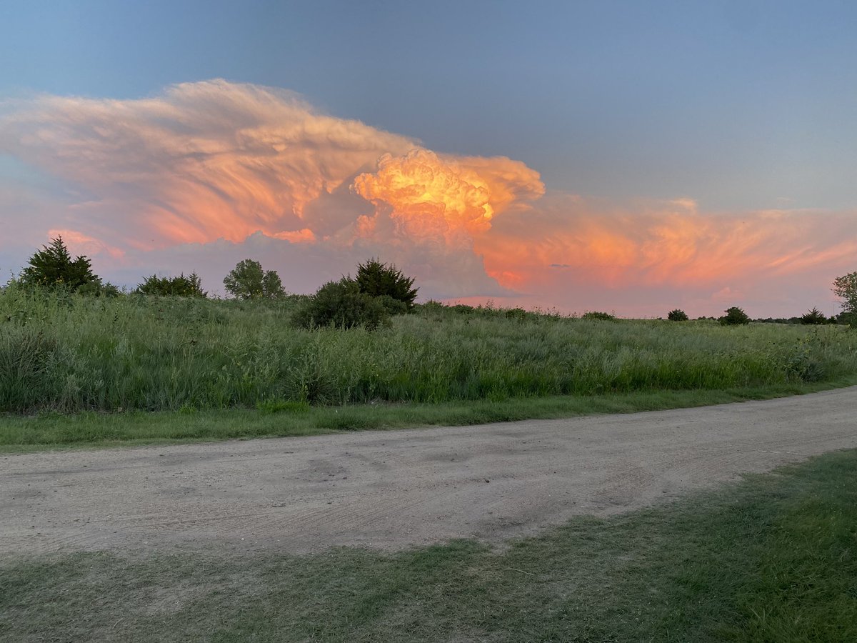 Emerson Lynch tweet media