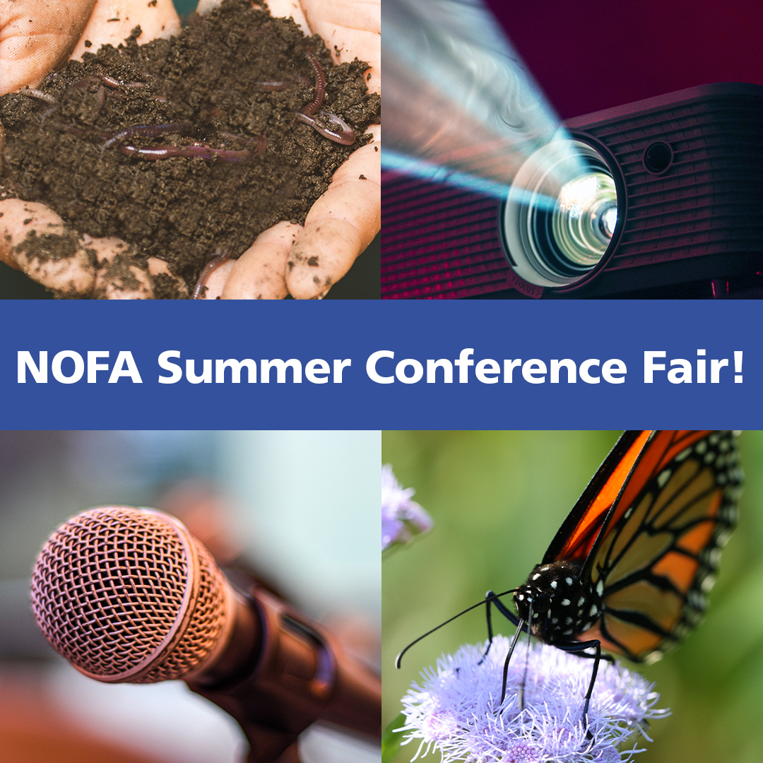 The NOFA Summer Conference extends beyond our fantastic week-long workshop lineup!
Conclude the conference with hands-on activities and a film screening at the fair from 3:30–5:00pm on Saturday, July 29th at <a href="/WorcesterState/">Worcester State</a> 
Read on: 
us20.campaign-archive.com/?u=95188899d5a…
