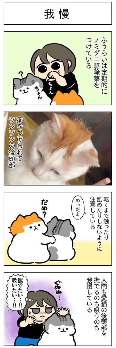 喫猫家・我慢│フェリシモ猫部 