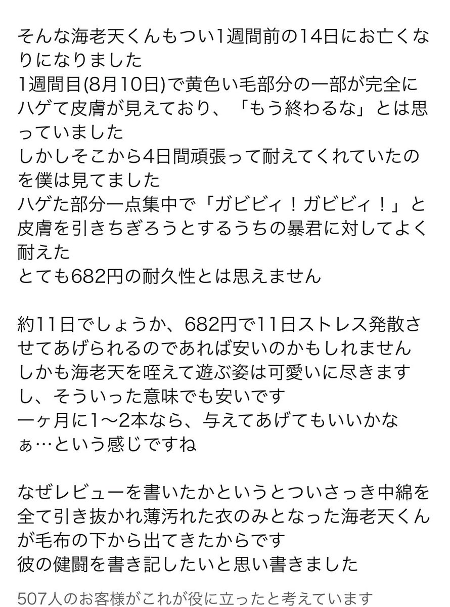 とろける tweet media