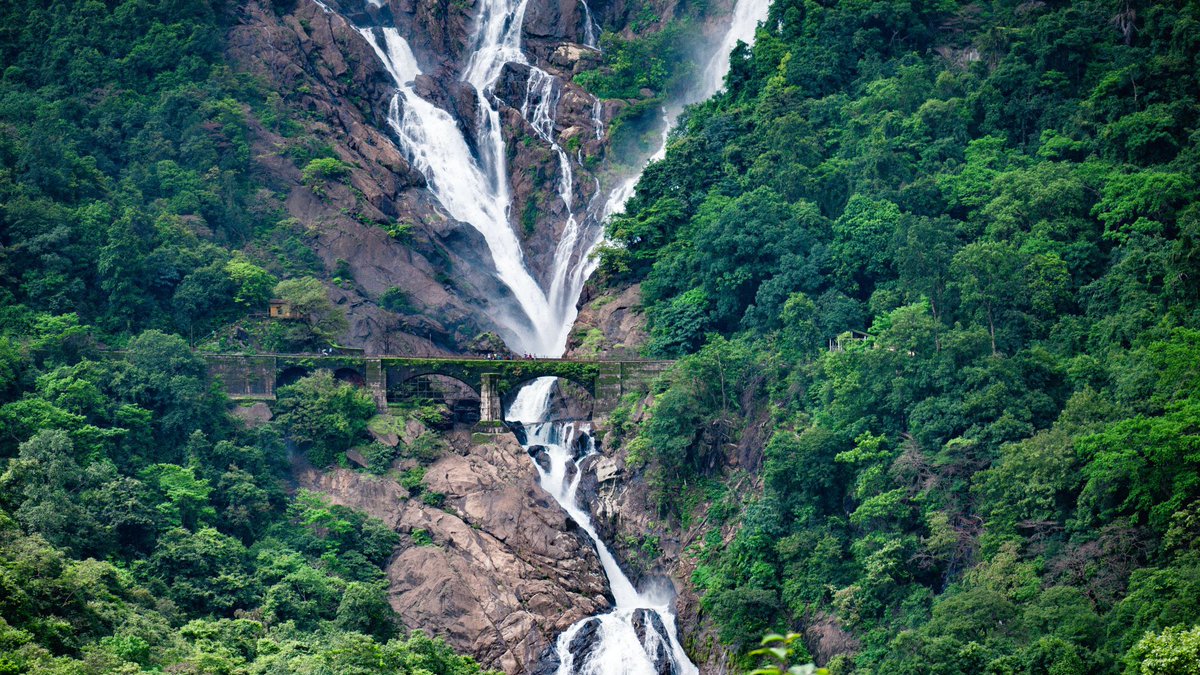 goaforests's tweet photo. #Dudhsagar Waterfall is in Bhagwan Mahaveer National Park in Goa. Considering continous heavy rain, as a precautiory measure entry in National Park area and Waterfall is closed for visitors by Order of Chief Wildlife Warden, Goa. 
@SWRRLY @DrPramodPSawant @dip_goa @PIB_Panaji https://t.co/UkOU6fvaUg