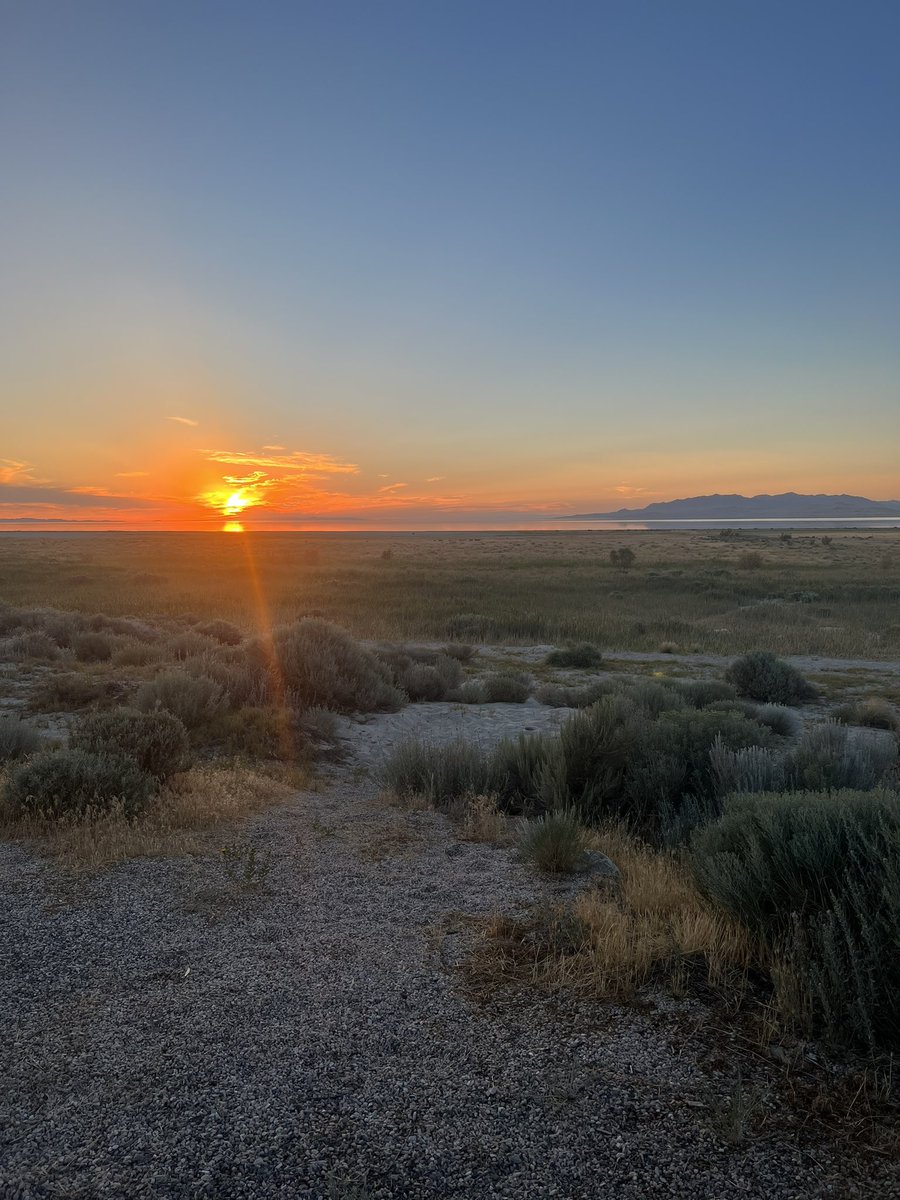 sami_hartman's tweet photo. Not a bad ending to the day https://t.co/kFlM5tcJKi