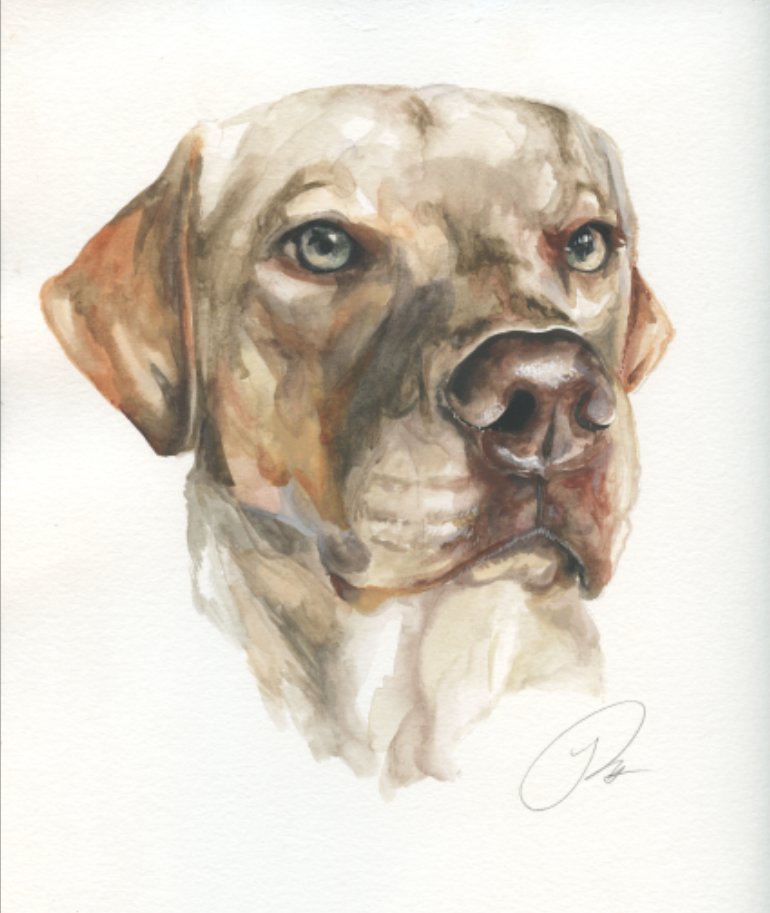 RubyWatercolor's tweet photo. @goldenloverzone new watercolor painting https://t.co/qj56IGYGZd