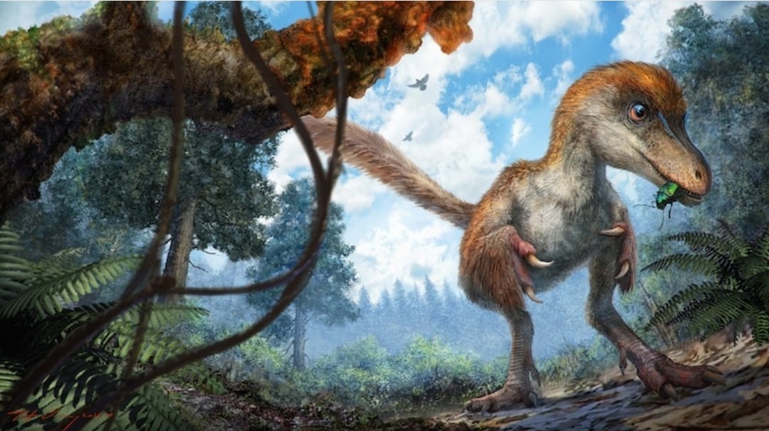 JGesabo's tweet photo. Temperatures are rising all over the world.  GLOBAL LEADERS are literally doing nothing to rein in the situation.  Soon human beings will become extinct just like Dinosaurs. https://t.co/qZLkmB9mjI