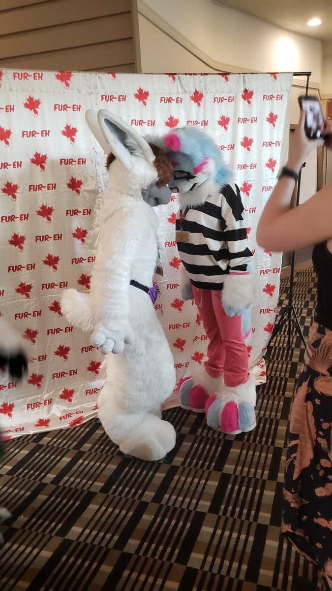TheUnifoxgg's tweet photo. Little bit of a photo dump from my week. Pretty much just stuff from #FurEh last weekend. I only know @AeroSolas and @MangoMother in this set sry! If you see yourself of someone you know, feel free to tag them! https://t.co/mIZ8tTGnaM