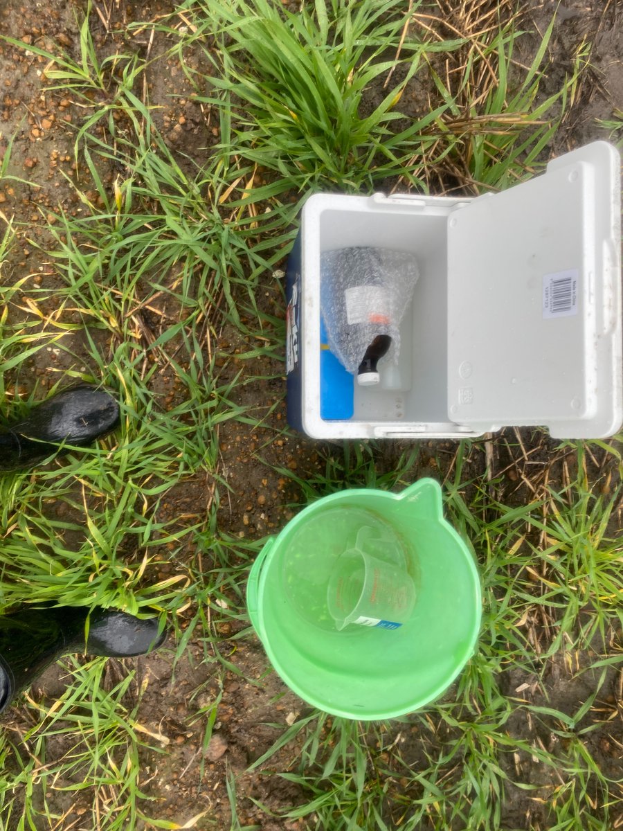 Ah the humble bucket & esky, every field scientist's best friend 🤝

#sciencetopractice #watersampling #southcoast #naturalresourcemanagement #cropscience