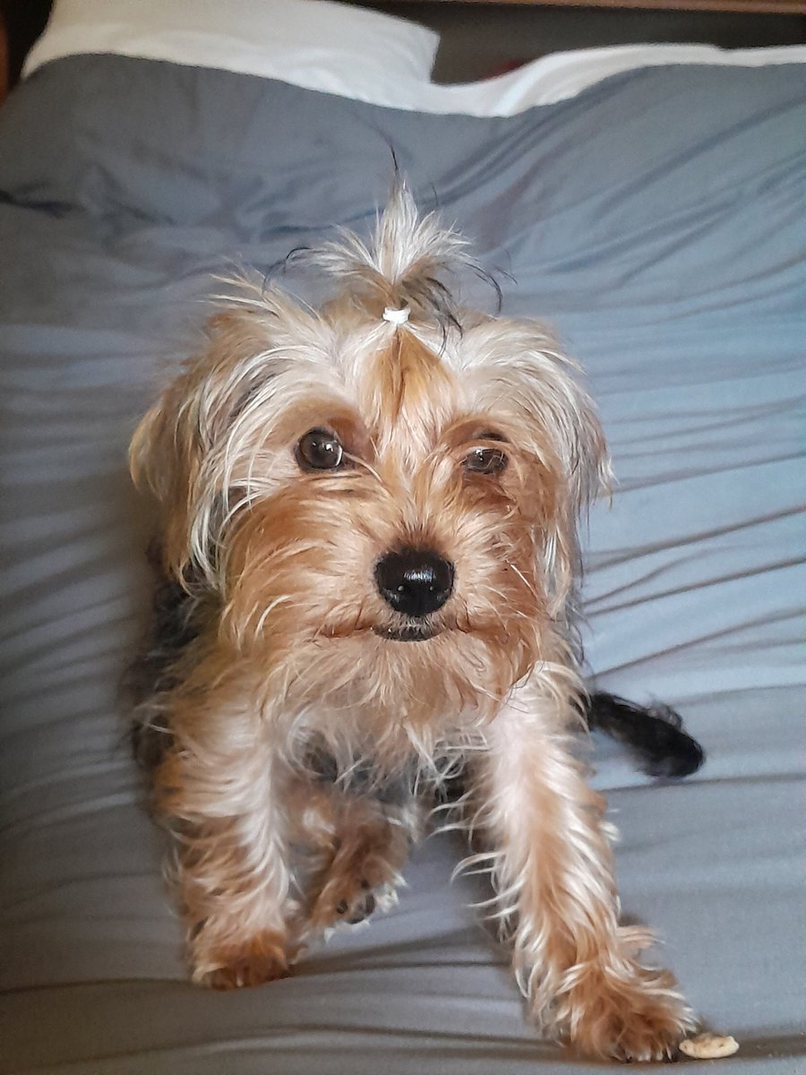 My sĥadow..my Baiey
..