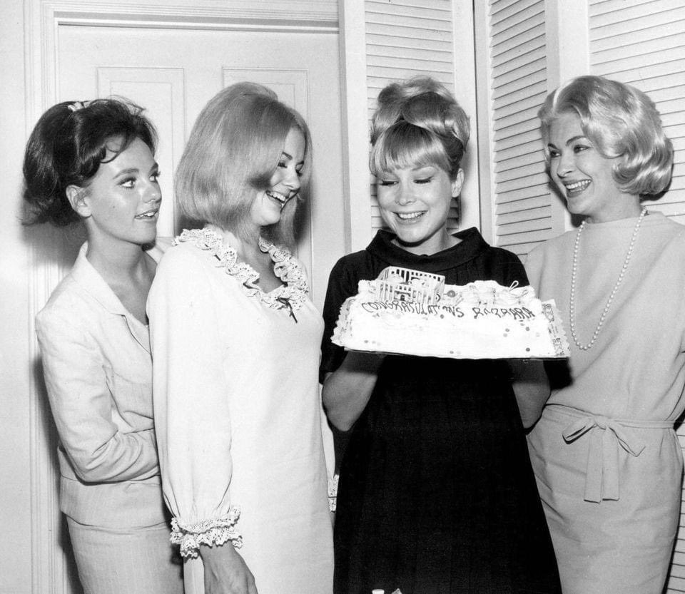 Barbara Eden baby shower, Burbank CA., 1965. Dawn Wells, Shelley Fabares, Barbara Eden and Lori Nelson.
#DawnWells #ShelleyFabares #BarbaraEden #LoriNelson #tvstar #tvstars #babyshower #hollywood #TV #actresses #actrees #Cake #Party https://t.co/NoNWJGeRVY