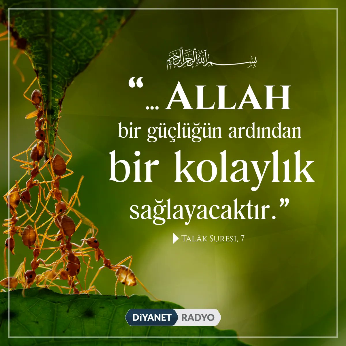 Rahmân ve Rahîm olan Allah´ın adıyla

"... Allah bir güçlüğün ardından bir kolaylık
sağlayacaktır."

[Talâk Suresi, 7]
