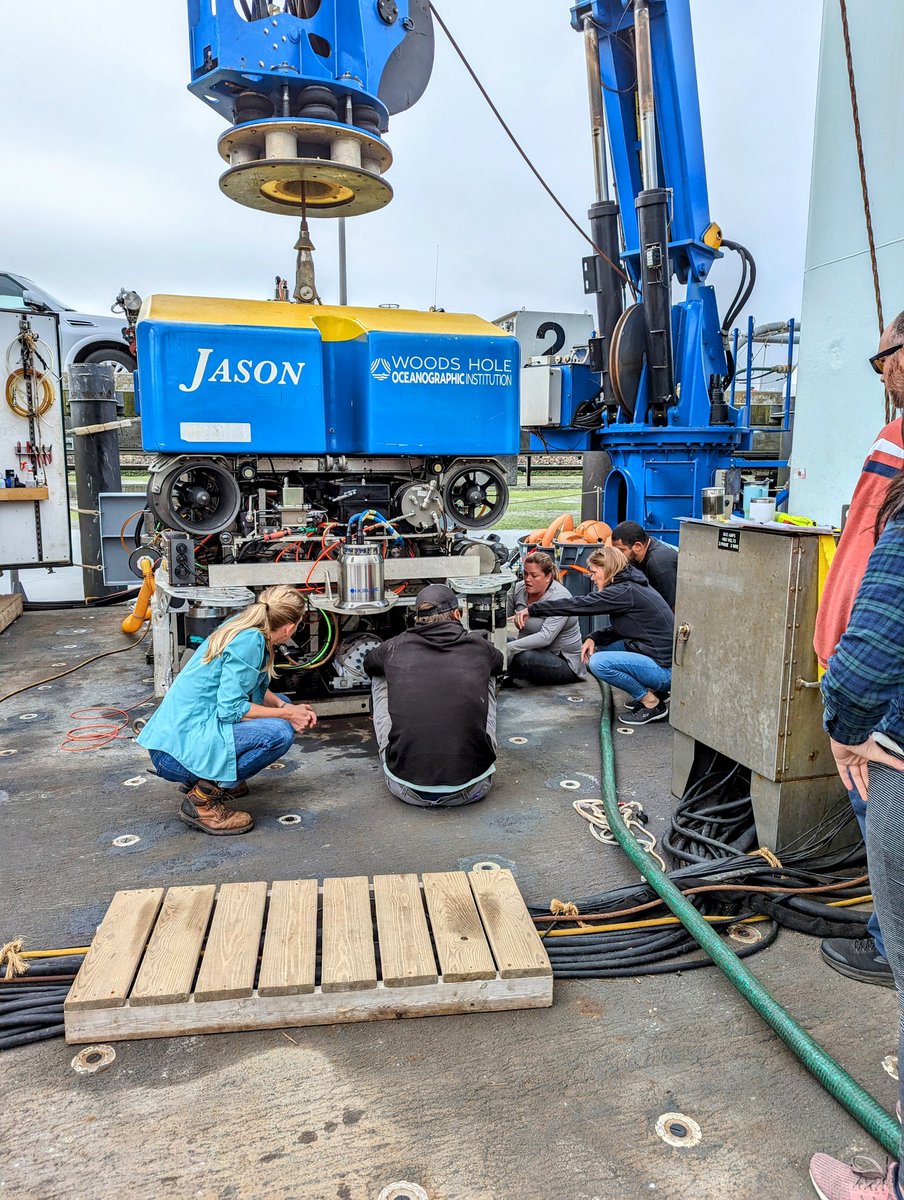 joe vallino ∫🦠dxdt ≻∫🔥dxdt (@mepjoe) on Twitter photo <a href="/JulesDeep/">Julie Huber, PhD</a> and Kaitlyn Tradd of <a href="/WHOI/">Woods Hole Oceanographic Institution (WHOI)</a> installing the SUPR sampler on ROV Jason for the #protatax23 cruise. <a href="/JulesDeep/">Julie Huber, PhD</a> and Kaitlyn Tradd of <a href="/WHOI/">Woods Hole Oceanographic Institution (WHOI)</a> installing the SUPR sampler on ROV Jason for the #protatax23 cruise.