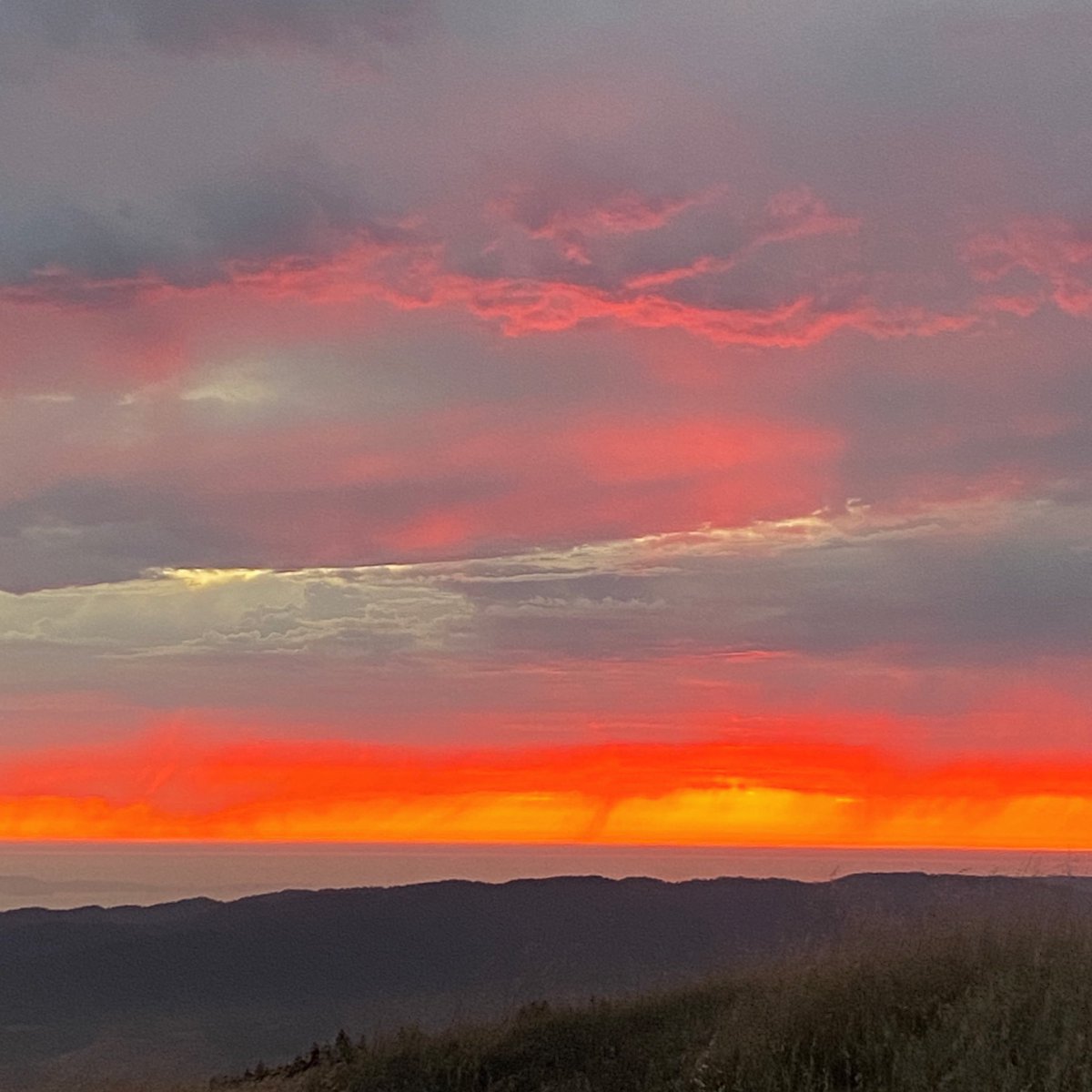 The West Marin Feed tweet media