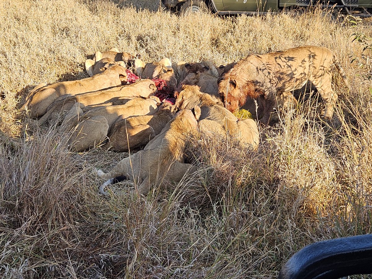 Lloyd Timcke (@lloydtimcke) on Twitter photo 