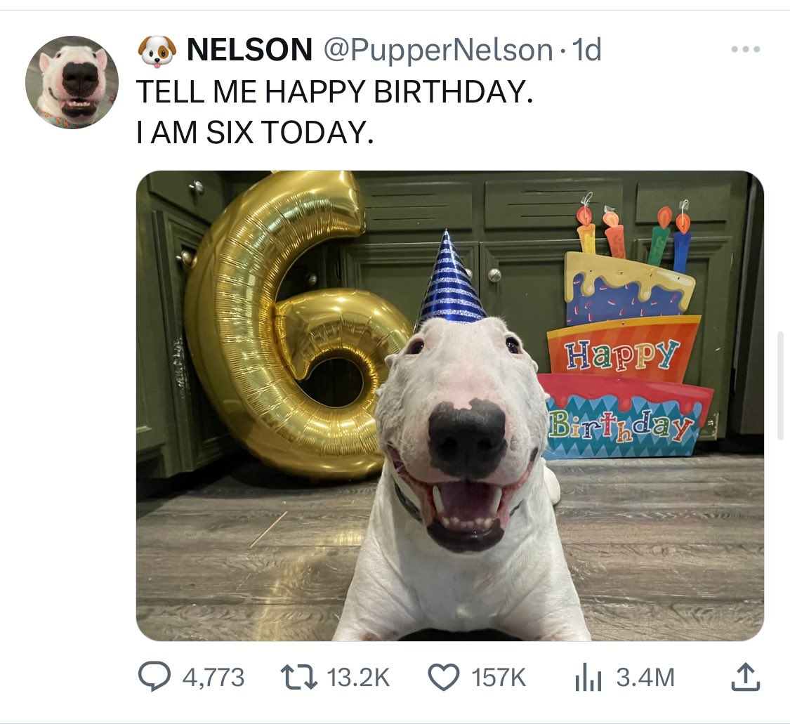 PupperNelson's tweet image. It happened. Birthday Nelson surpassed the meme photo as the most popular Nelson tweet ever. 🤯
