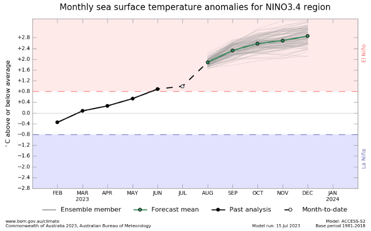 @peterhannam1.bsky.social (@p_hannam) on Twitter photo Here's the latest model runs used by <a href="/bom_au/">Bureau of Meteorology, Australia</a>. A strong El Nino remains in prospect... Here's the latest model runs used by <a href="/bom_au/">Bureau of Meteorology, Australia</a>. A strong El Nino remains in prospect...
