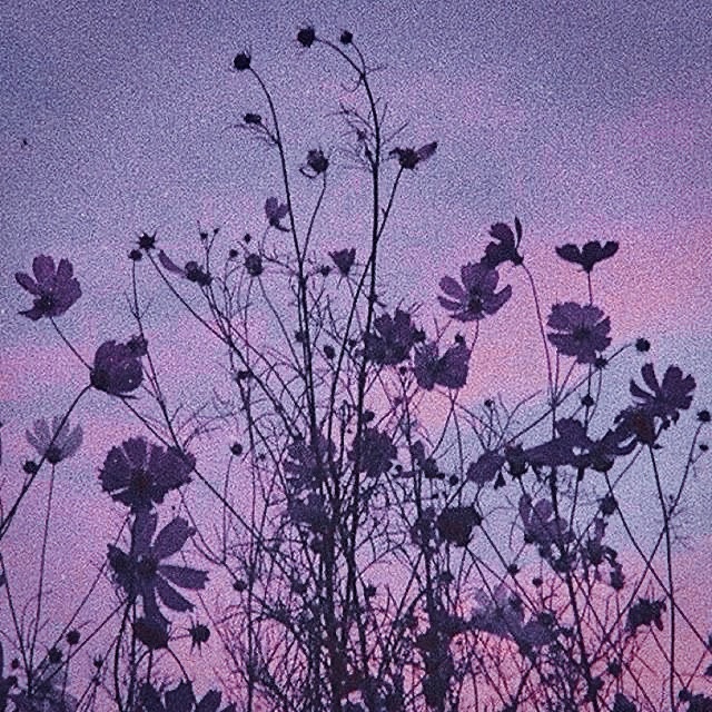 ⠀
                   starter  call  .ᐟ
⠀
♡  for  a  written  starter  may  include   gif ——  depends  on  content   .
⠀
↺ ⠀ to  plot  a sl between our muses through dm .
⠀