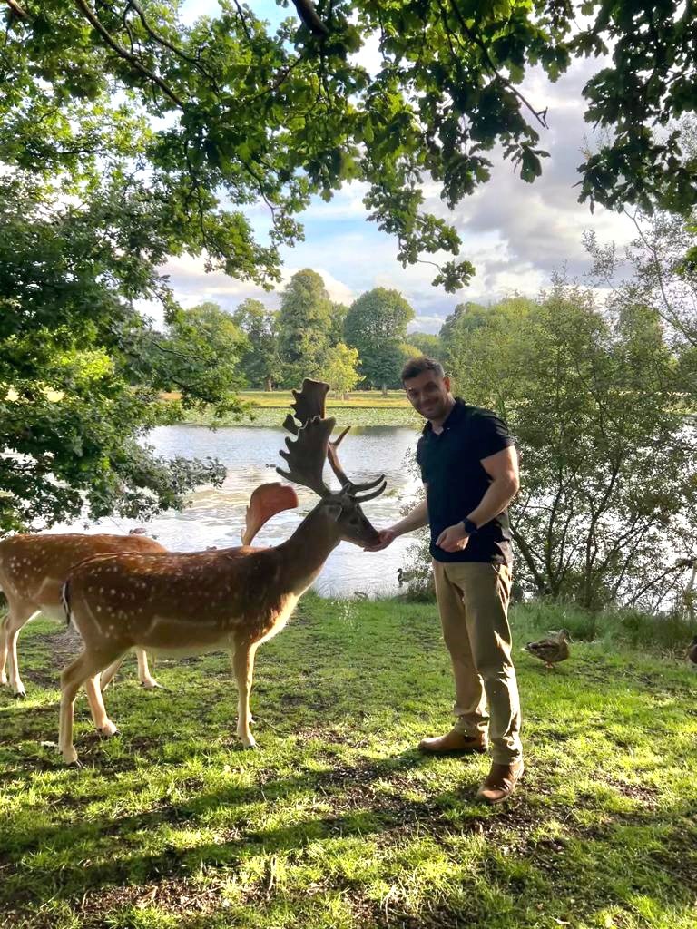 MarekPeruta tweet media