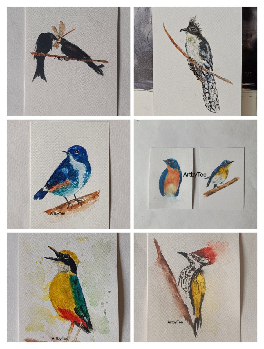Bird Lovers,here are all the handpainted original Bird paintings in watercolor,acrylic & gouache. DM for price. Please share far n wide.#ArtbyTee #BirdTwitter #BirdsOfTwitter #birdpainting #paintings #GiftBetter #gifthandmade #handpainted #giftideas #IndiAves @IndiAves #ArtLovers