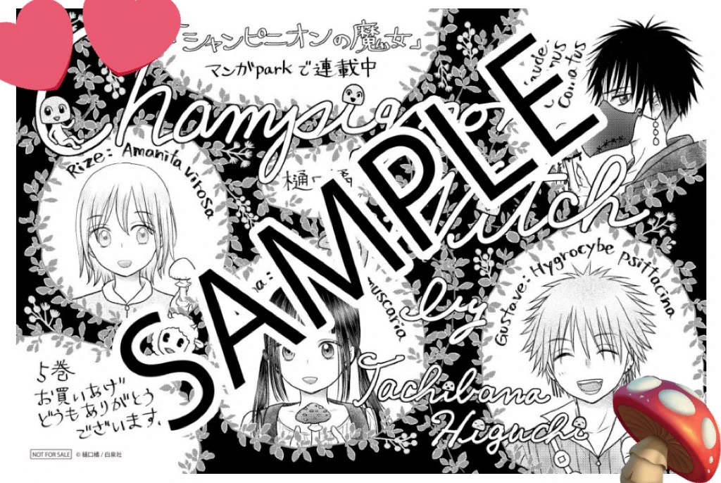 シャンピニオンの魔女＠最新7巻絶賛発売中！ (@champignonwitch) / X