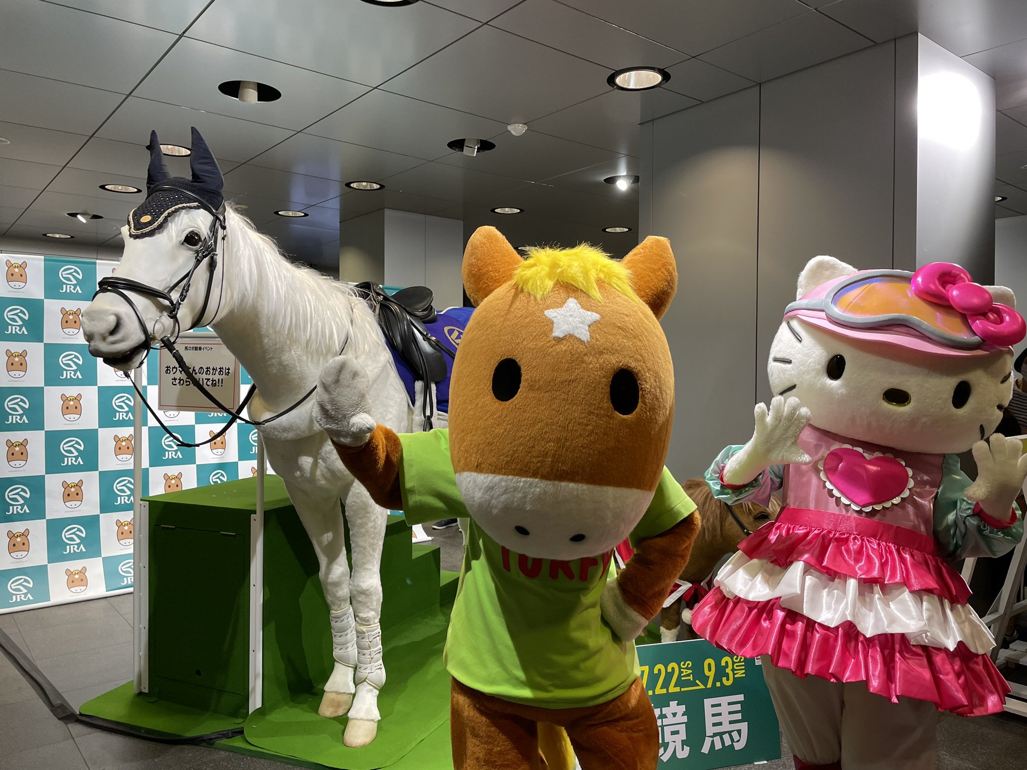 お馬deキティ ハローキティ 競馬 JRA Amazon.co.jp: お馬deキティちゃん ユキチャン ぬいぐるみ JRA
