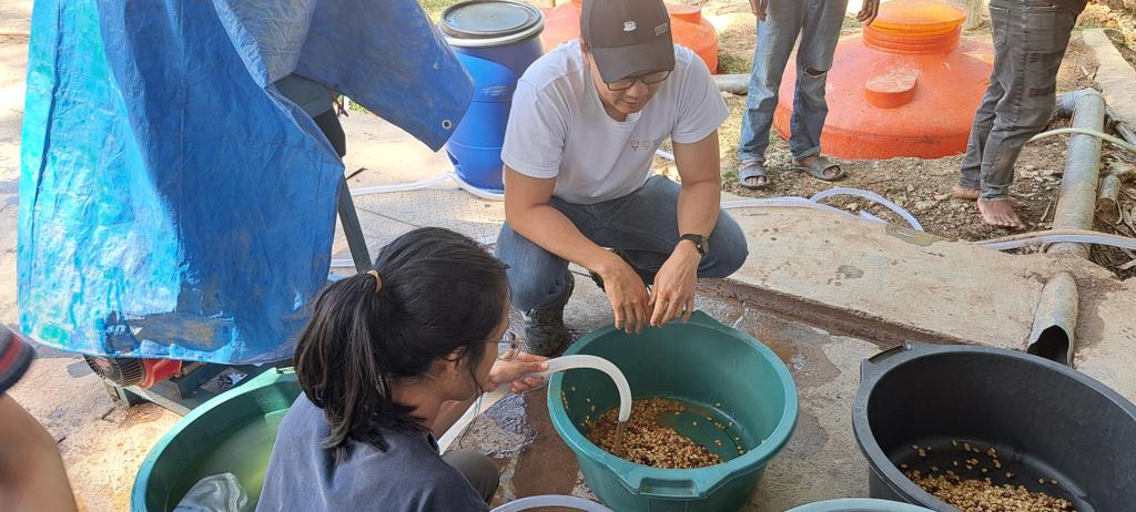 Imorwilson's tweet photo. Great coffee tour with Daniel and team from Carpe Diem in #Alieu excellent βοΈ & info #hauniatimorleste πΉπ± #CoffeeTime https://t.co/xYnYDRGGiP