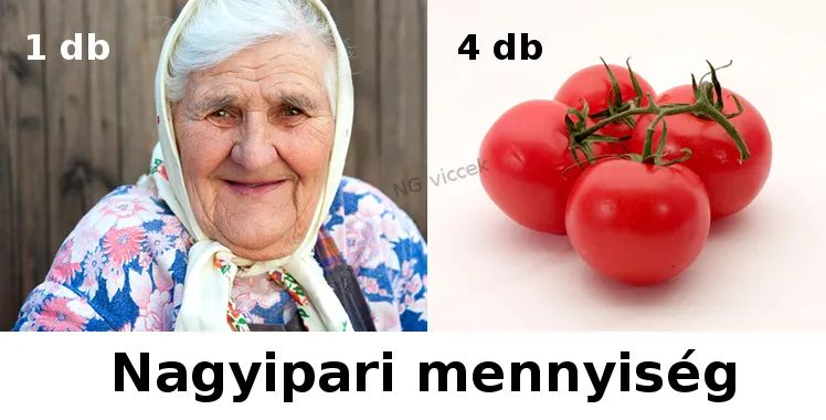 Andikat 3️⃣3️⃣ 🧸 tweet media