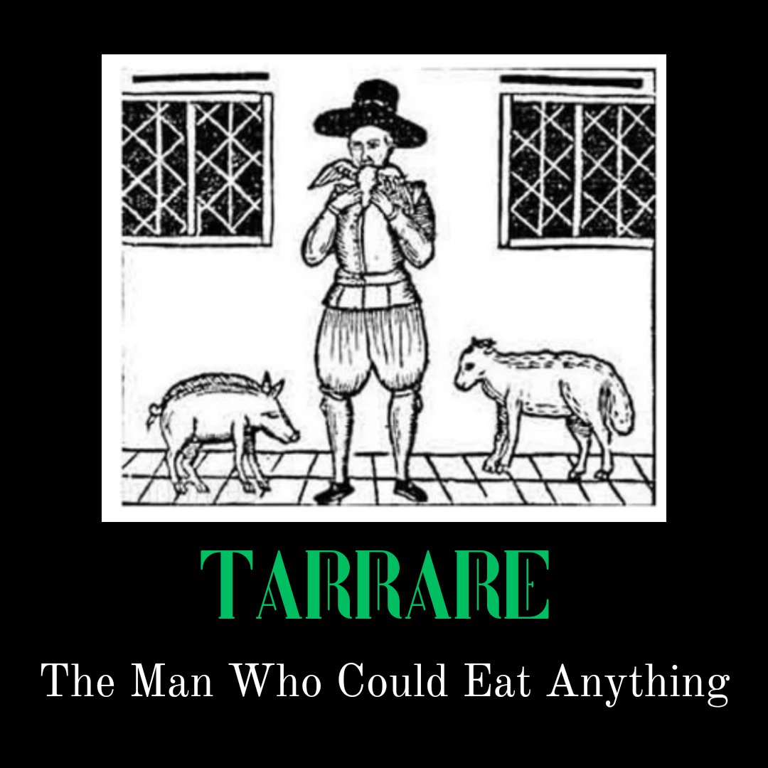 Morbid Curiosity Pod tweet media