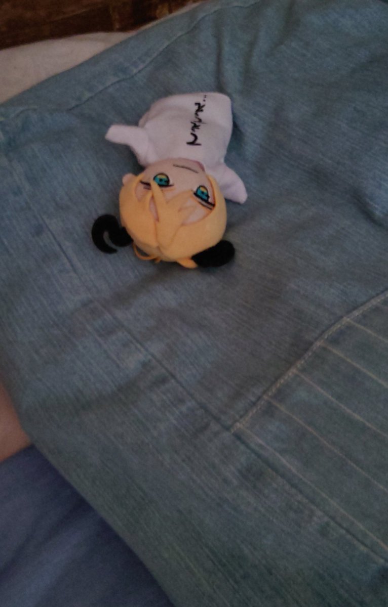 eternalnui's tweet photo. みなさんのおうちのぬいちゃん達がアイドルだったり彼氏だったりするのにうちはどう見ても「つよい」「クワガタ」感が否めないんだよなあ。どこで未来が分岐したのかなぁ。
#ｻﾀﾍﾞさま https://t.co/BL1vxiiUXR