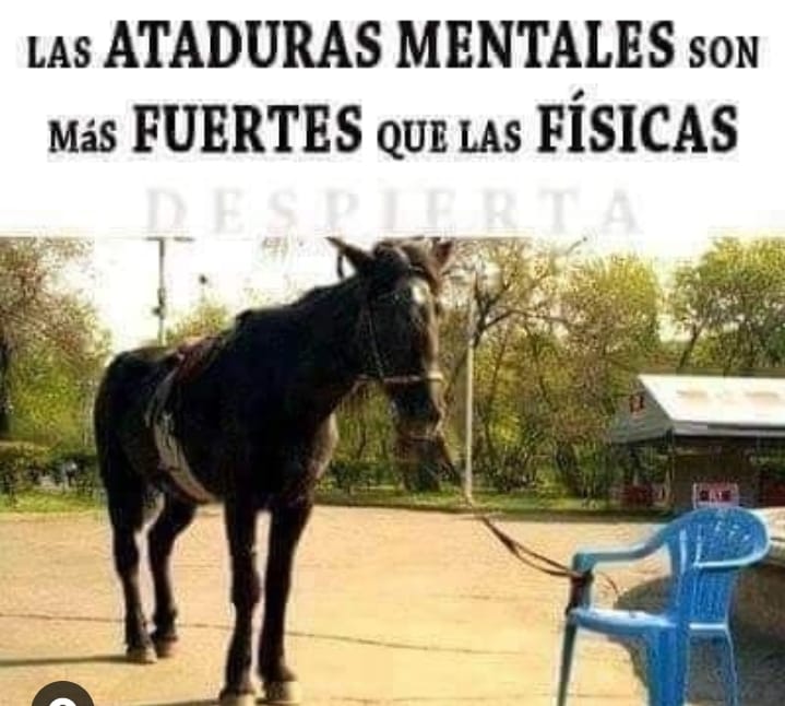 BoconLa's tweet photo. @marbra2020 https://t.co/rloozvxowW