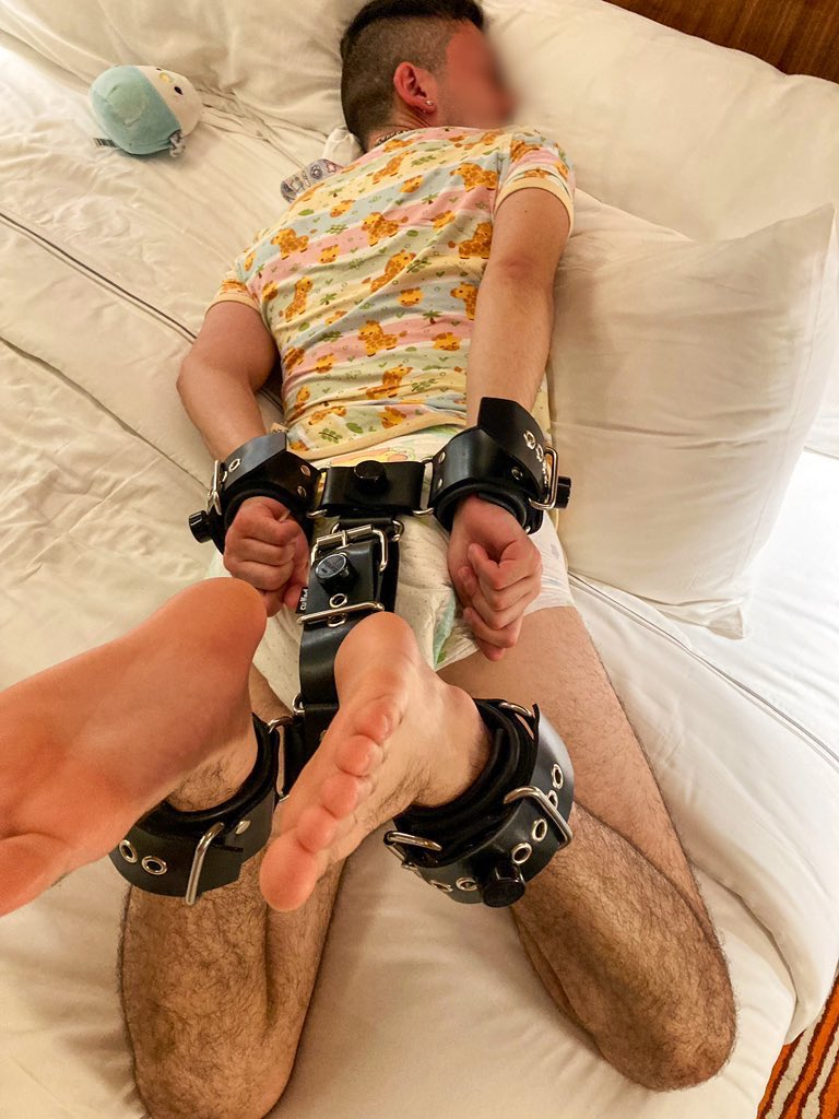 rubberkitsu's tweet photo. Precariously positioned puppy 🙈 https://t.co/L24WNe1c2y