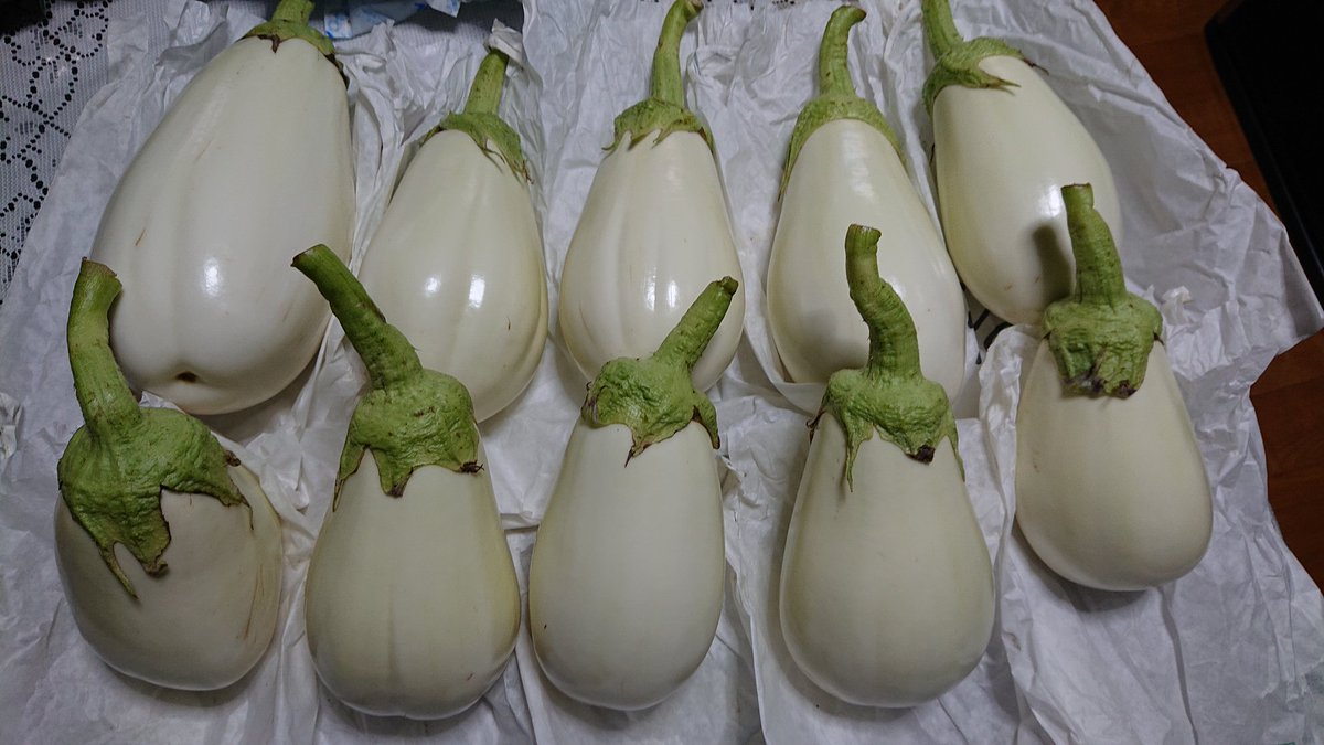 なすページ　6点 なすページ 6点 DBZ-53 ネジバズーカ – エンジニア公式