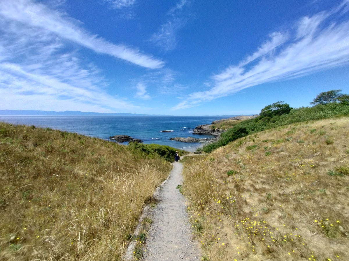StaceyJanssen's tweet photo. Grandma's Cove, San Juan Island https://t.co/s8kNl2h1PG