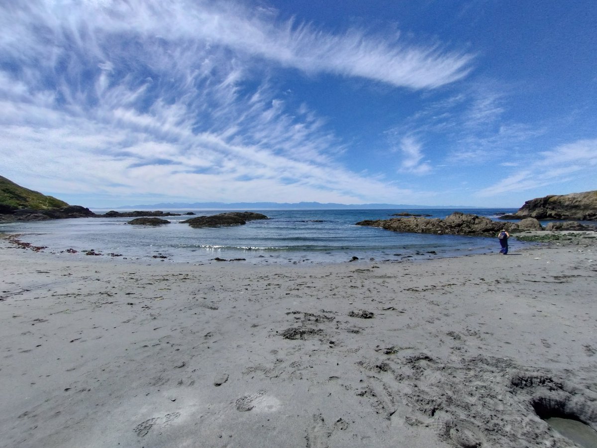 StaceyJanssen's tweet photo. Grandma's Cove, San Juan Island https://t.co/s8kNl2h1PG