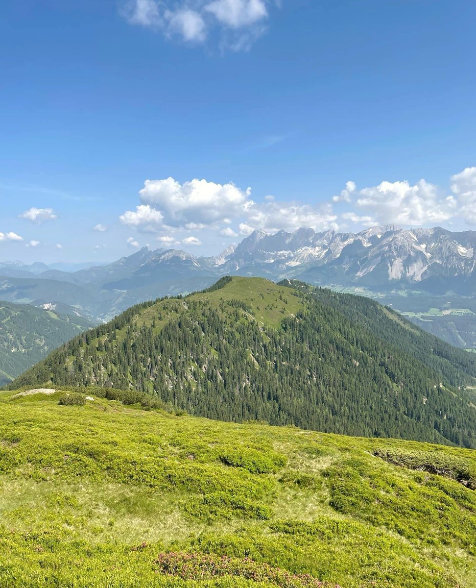 InTheSnow Magazine tweet media