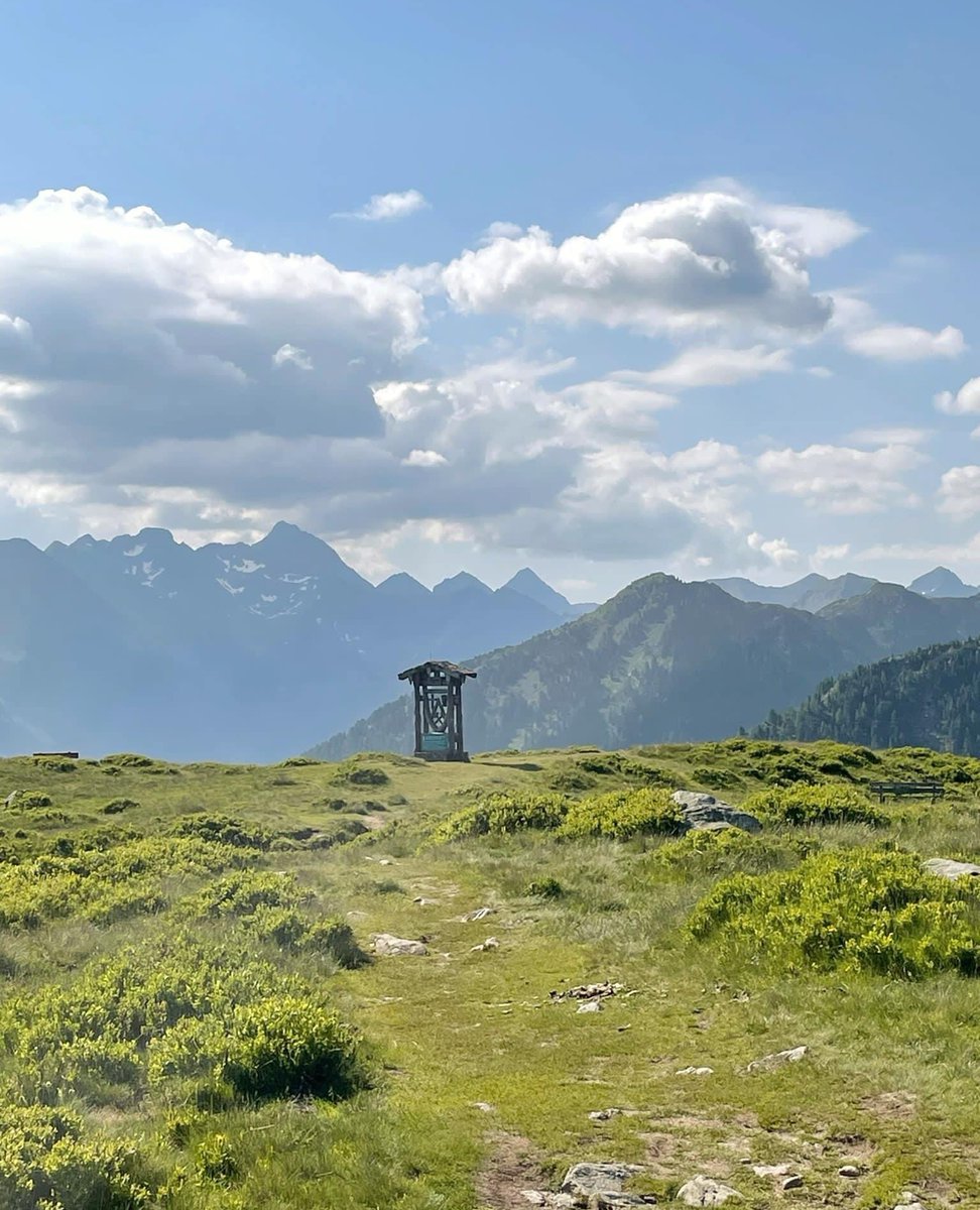 InTheSnow Magazine tweet media