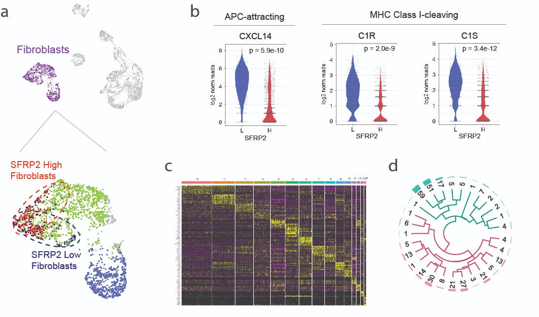Maverakis Lab (@maverakislab) on Twitter photo We are hiring!
The Maverakis lab is looking to hire a POSTDOCTORAL SCHOLAR.
Our Interests- autoimmunity, immunotherapy, and precision med
NIH-funded, well-cited, well-published research team
Techniques- scRNA-seq, Flow Cytometry
Interested? -> email us emaverakis@yahoo.com We are hiring!
The Maverakis lab is looking to hire a POSTDOCTORAL SCHOLAR.
Our Interests- autoimmunity, immunotherapy, and precision med
NIH-funded, well-cited, well-published research team
Techniques- scRNA-seq, Flow Cytometry
Interested? -> email us emaverakis@yahoo.com
