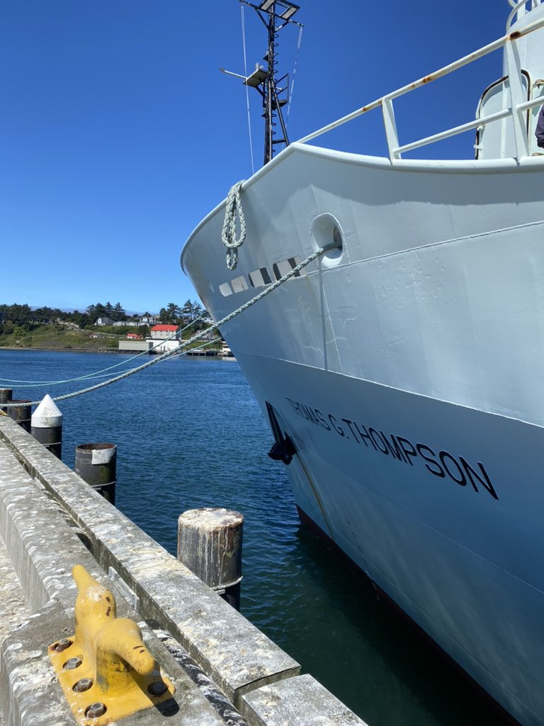 Julie Huber, PhD tweet media