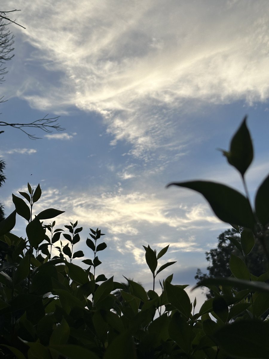 JarredPetty's tweet photo. Tonight’s vibe of a walk. https://t.co/47R7Nj3BxG