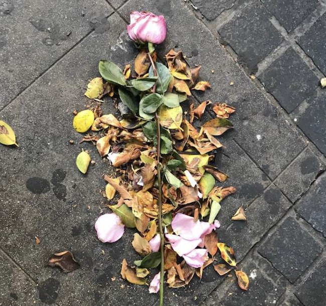 AndrewAsch's tweet image. 