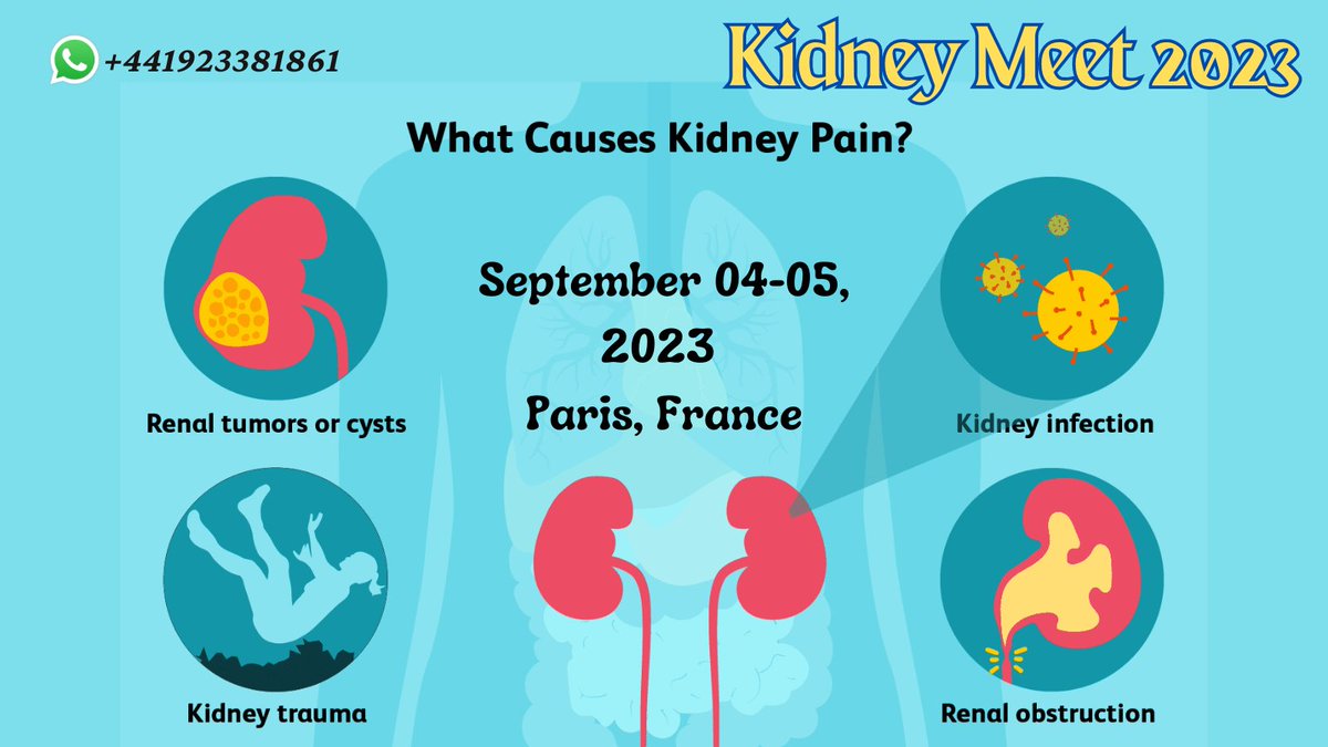 acemac2024's tweet image. #Kidneypain can have many causes. It may be a sign of an #infection injury or another #healthproblem such as #kidneystones. Because of where your #kidneys are in your body, kidney pain is also often confused with #backpain.
Whatsapp: +441923381861
#kidneymeet2023 #ParisFrance