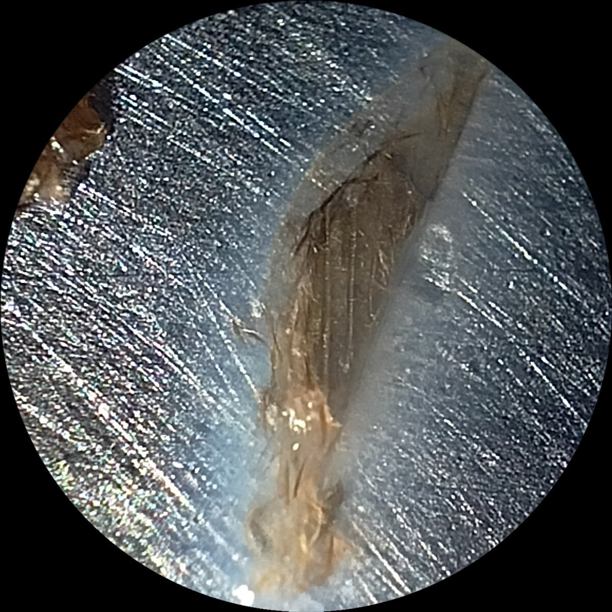 Hiren P Shrimali tweet media