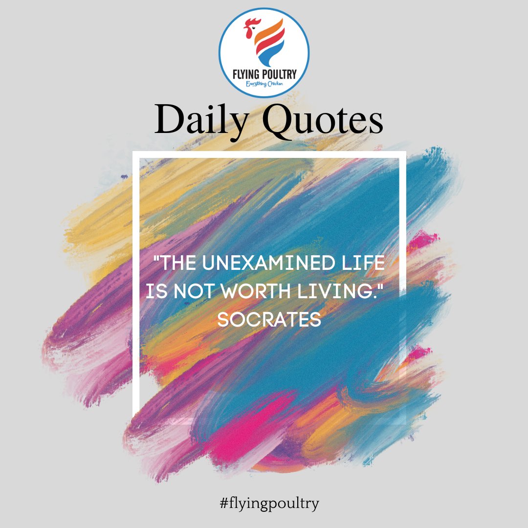 FlyingPoultry's tweet photo. Daily Quote
#quotes #dailyquotes #sydney #schnitzel #viral #healthylifestyle #TrendingNow #reels #melbourne #indiansinsydney #chickenlollipops #Australia #healthyeating #chicken #reelsinstagram #shareus https://t.co/d0C1lLS2Gr