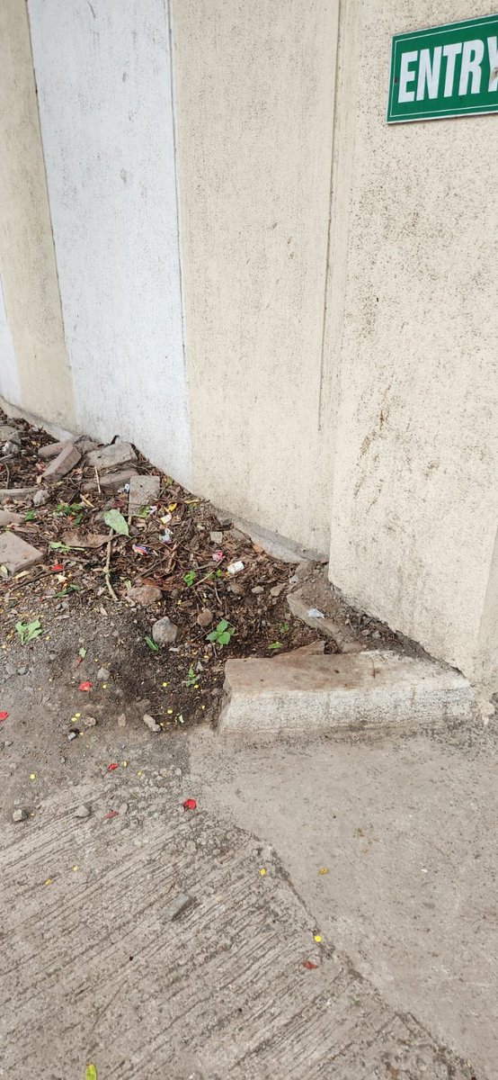 anandi iyer tweet media