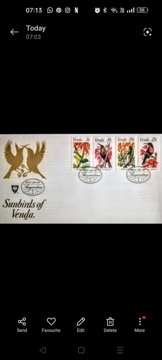 Russell🦁🏖️🐯 tweet media