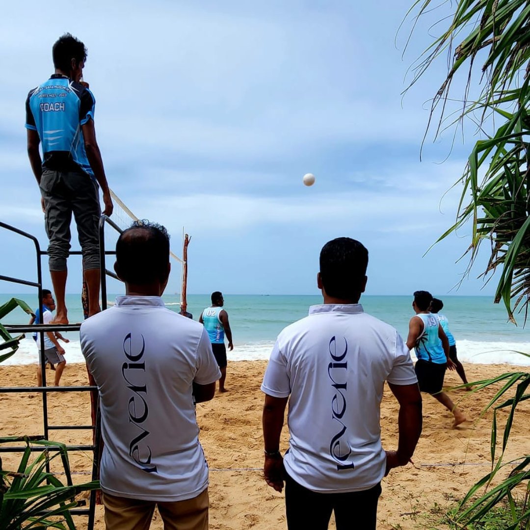 Resplendent Ceylon tweet media