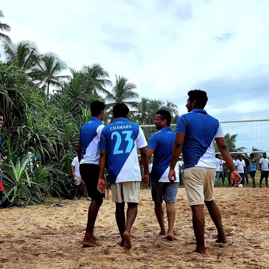 Resplendent Ceylon tweet media