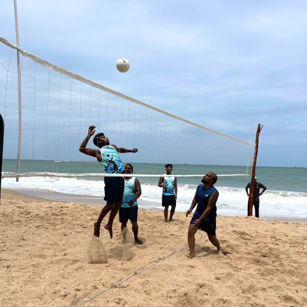 Resplendent Ceylon tweet media