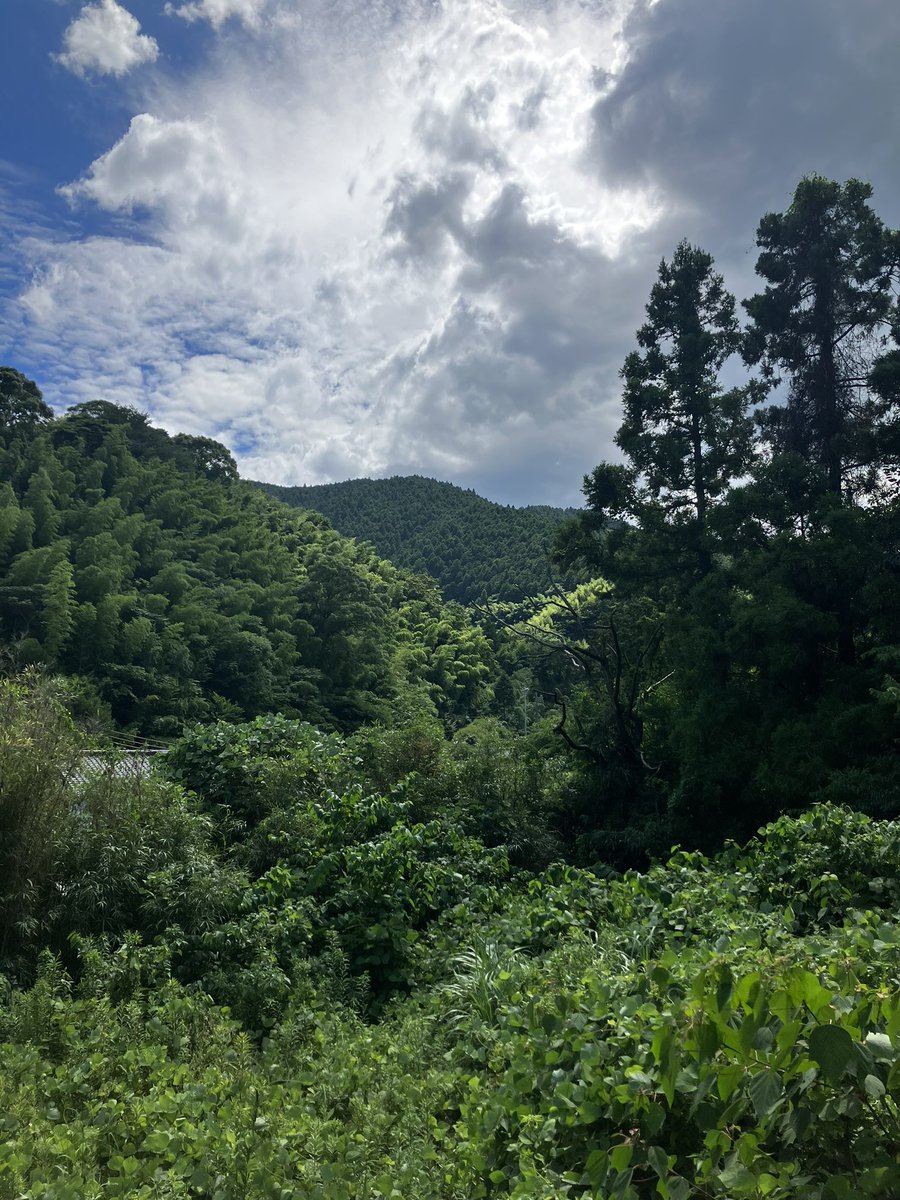 ossann1111's tweet photo. 夏☀️ https://t.co/VRJArUNgTX